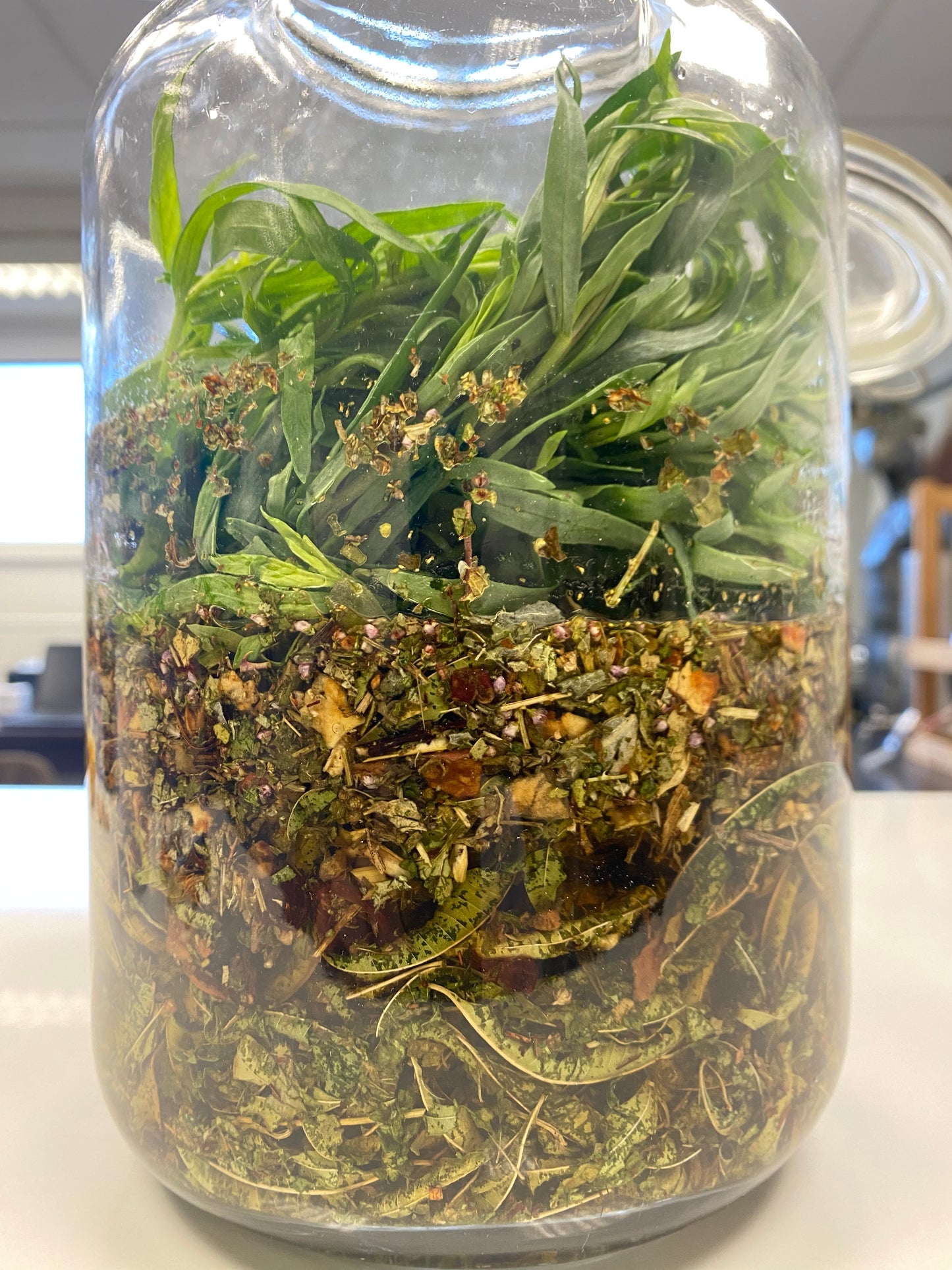 Bitter Lemon Shrub