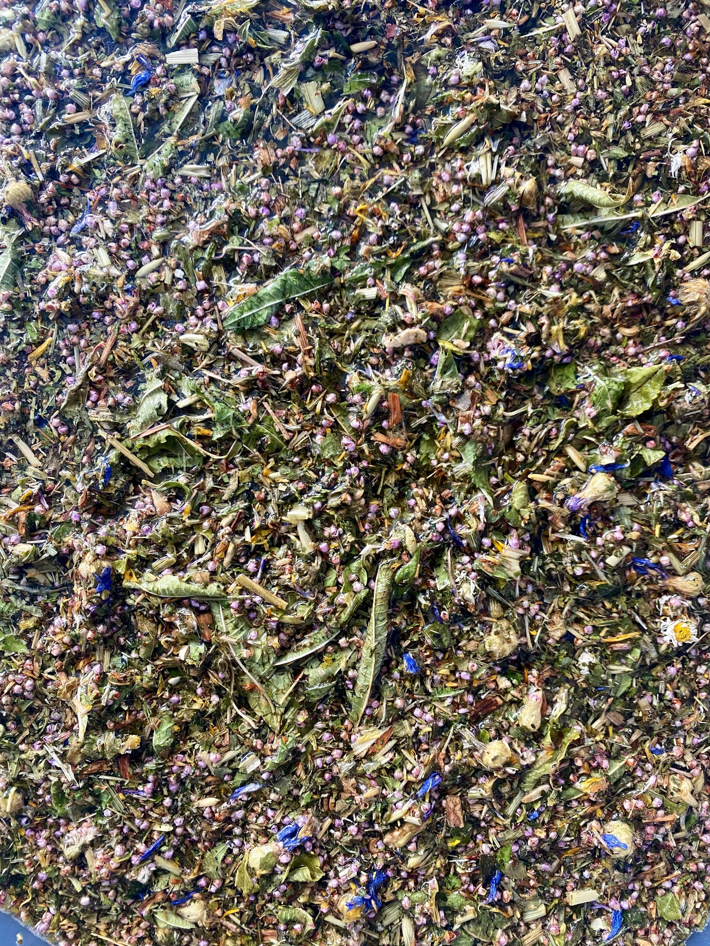 Bitter Lemon Shrub